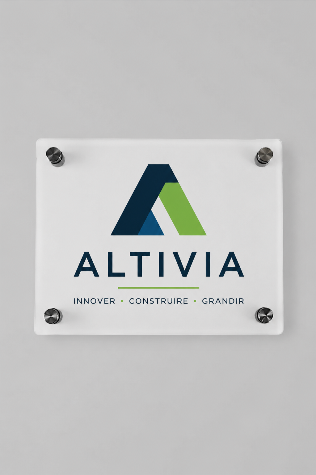 Plaque Professionnelle Plexiglass pour la personnalisation (Pack 5 unt)